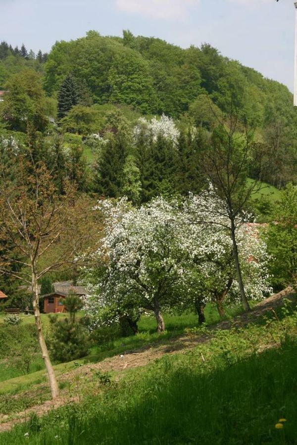 Talblick Appartement In Traumhafter Lage! Ober-Hambach 外观 照片