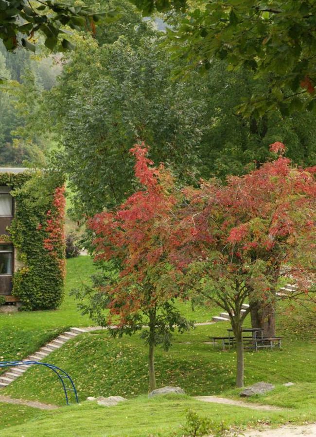 Talblick Appartement In Traumhafter Lage! Ober-Hambach 外观 照片